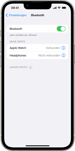Bluetooth-Seite auf iPhone