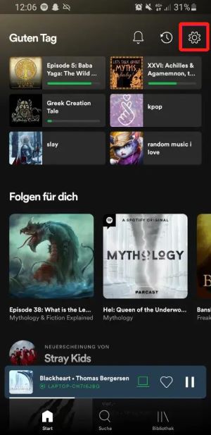 auf Spotify einstellen
